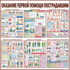 П6-Реан Первая реанимационная и 1-я мед. помощь – 6 л. (45х60 см, лам., нелам.)